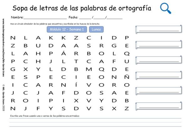 Sopa de letras de ortografía de 2º grado