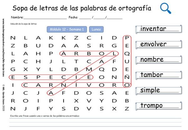 Sopas de Letras Educativas para 2º Grado – Palabras de ortografía HMH - Image 2